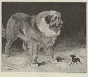 The Kennel Club Dog-Show